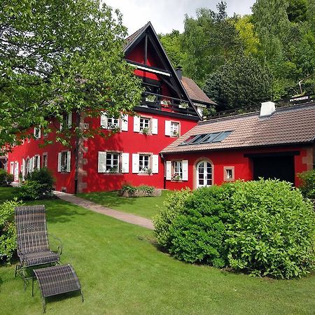 La Haute Grange Gites De Charme En Alsace Fréland Esterno foto