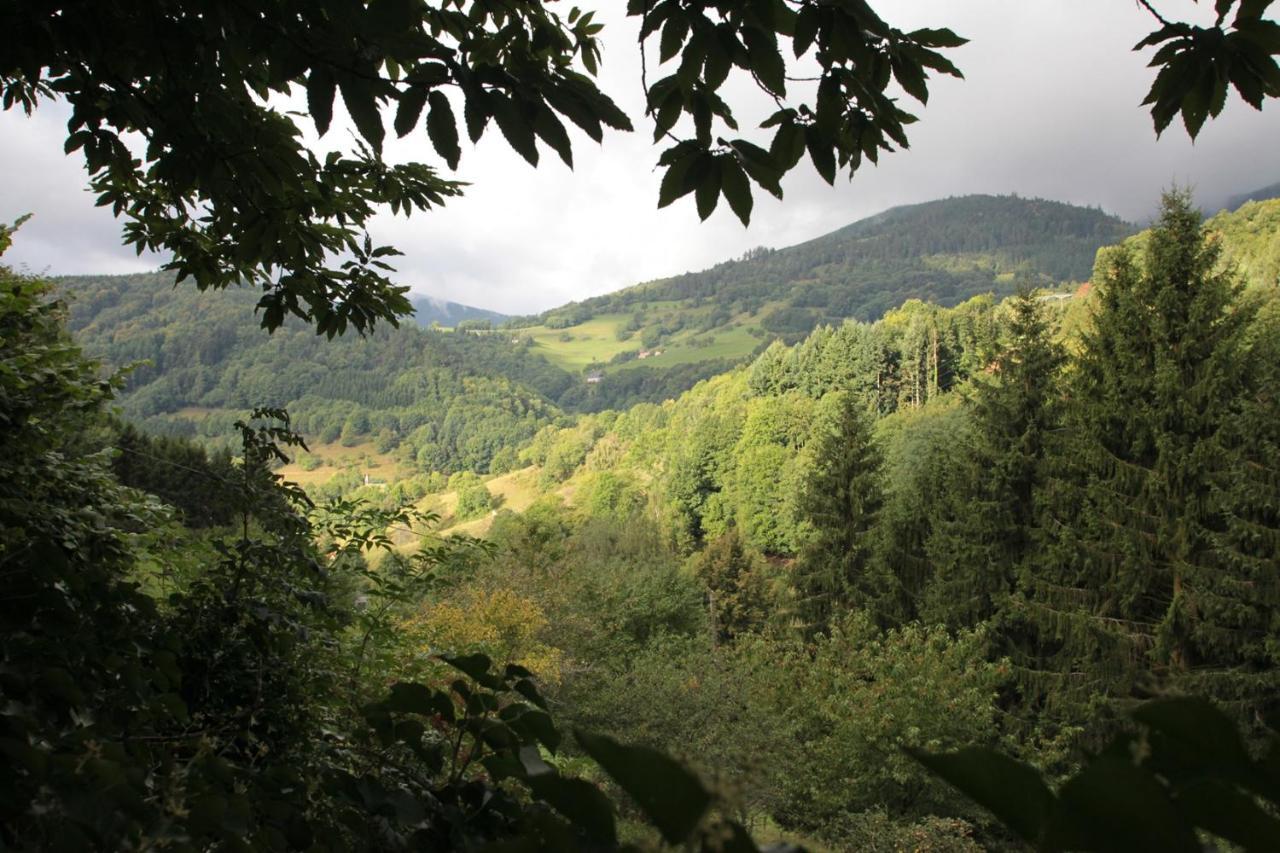 La Haute Grange Gites De Charme En Alsace Fréland Esterno foto