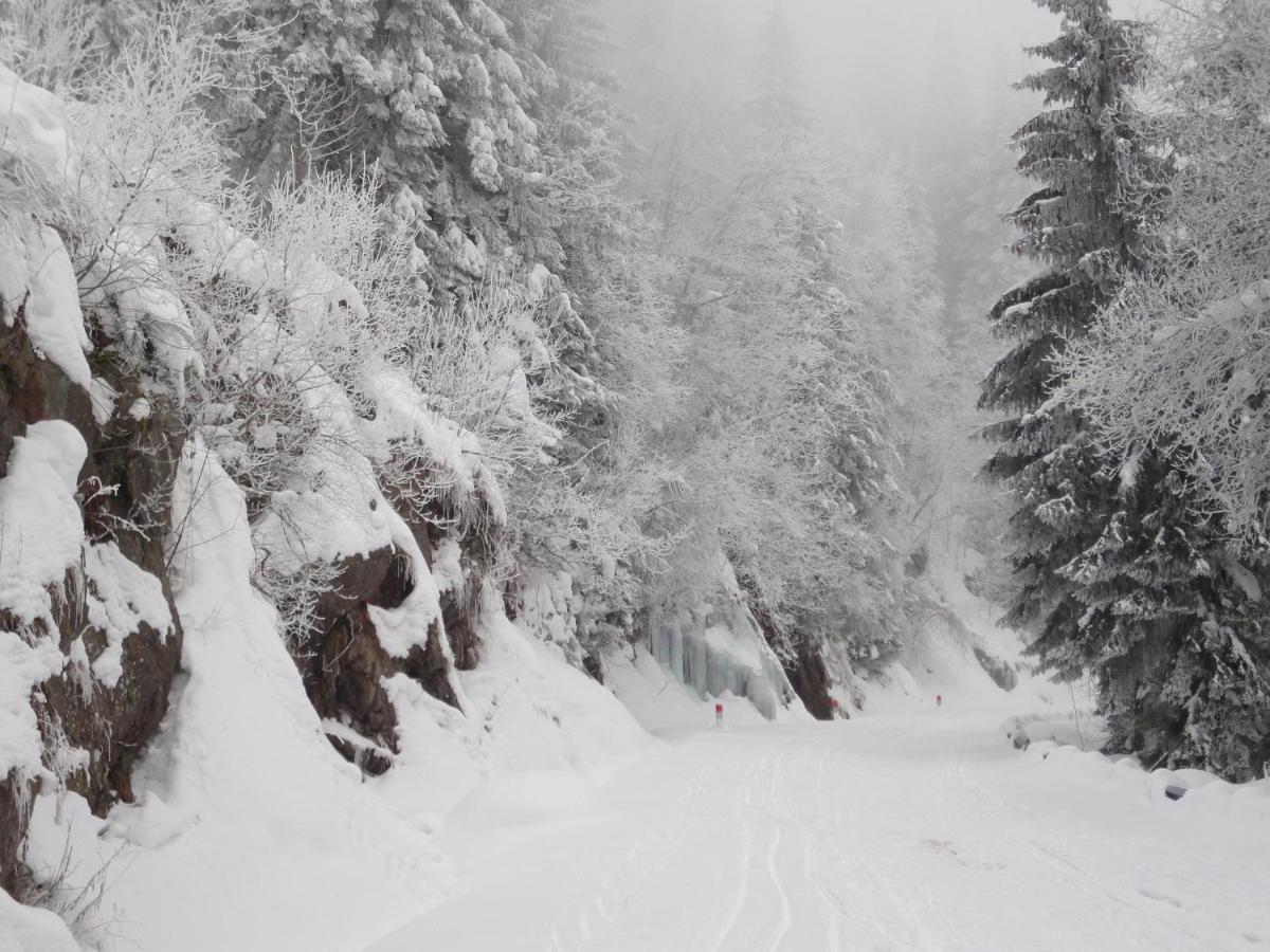 La Haute Grange Gites De Charme En Alsace Fréland Esterno foto