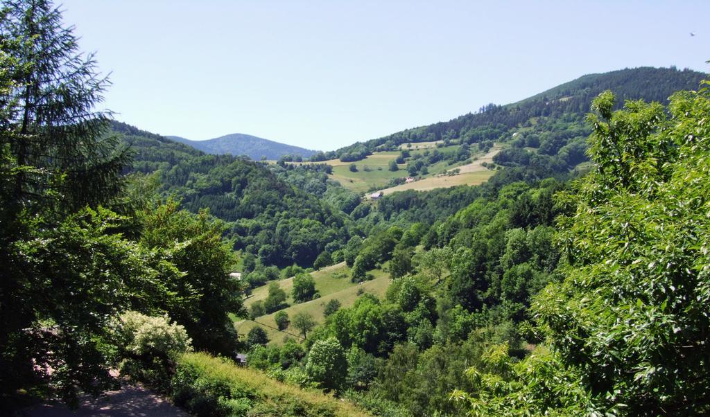 La Haute Grange Gites De Charme En Alsace Fréland Esterno foto