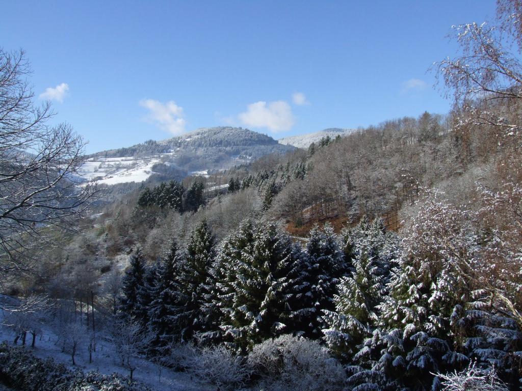 La Haute Grange Gites De Charme En Alsace Fréland Esterno foto